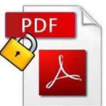 PDF